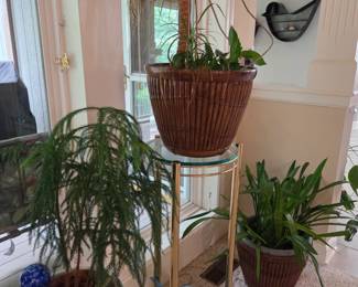 Plants & stands