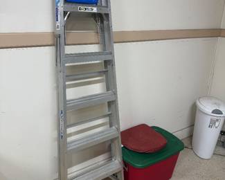 STEP LADDER