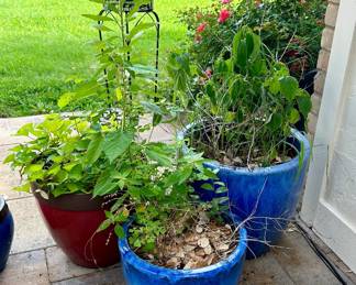 Flower Pots