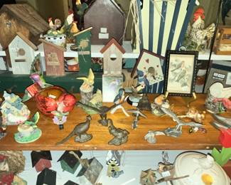 EVERY BIRD - FROM CARDINALS TO CHICKENS!
