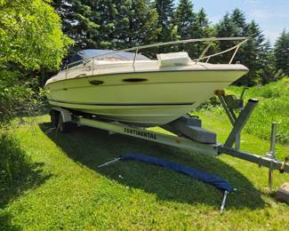 Sea Ray 240 Sundancer Boat