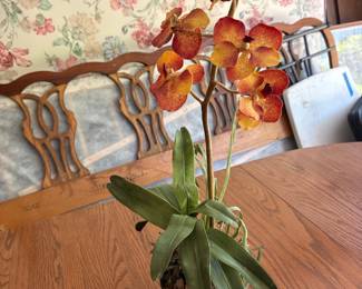 Artificial Vanda Orchid Plant in Pot