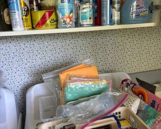 Assorted Household Cleaning and Storage Items