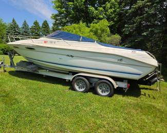 Sea Ray 240 Sundancer Boat