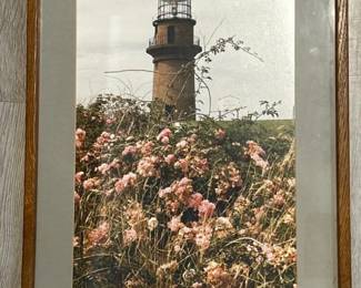 169 framedprintofgayheadlightmarthas
