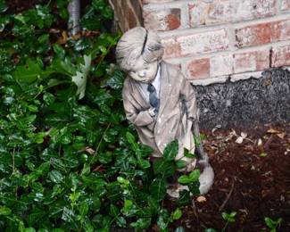 1005Back Yard