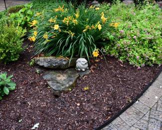 1029Back Yard