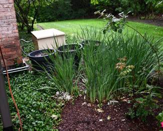 1008Back Yard