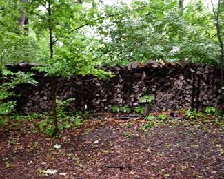 1028Back Yard