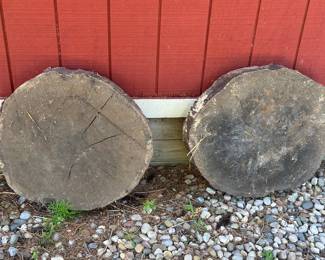 Rough cut tree stump slab 