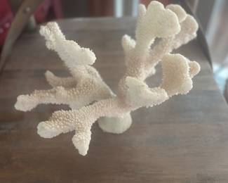 Coral 