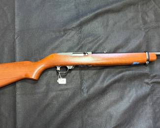 Ruger 10/22