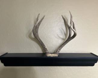 antlers