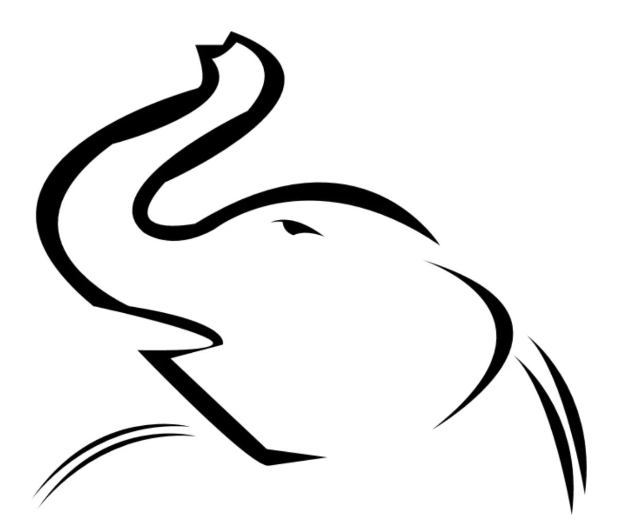 Elephant 2  