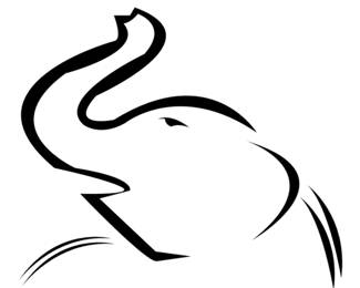 Elephant 2