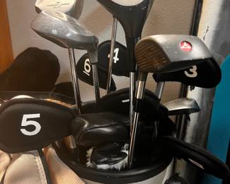 Lg Rawlings Golf Club Set w/bag