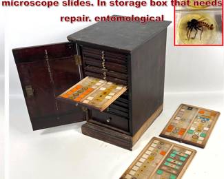 Lot 2252 20 Trays 19th century scientific microscope slides. In storage box that needs repair. entomological