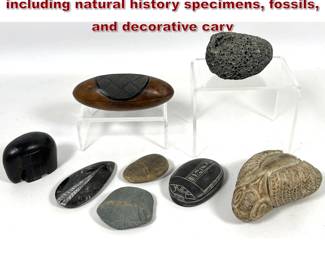 Lot 2009 collection of eight varied objects including natural history specimens, fossils, and decorative carv