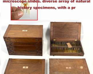 Lot 2244 8 Boxes of antique prepared microscope slides. diverse array of natural history specimens, with a pr