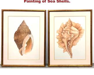 Lot 1962 2pcs Bonnie Smith Watercolor Painting of Sea Shells.