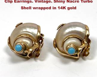 Lot 2138 Pr 14K Gold Natural Turbo Shell Clip Earrings. Vintage. Shiny Nacre Turbo Shell wrapped in 14K gold