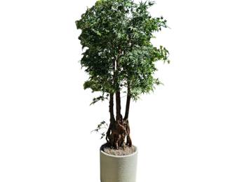 Lot # C4 - Faux Japanese Maple Tree with Textured White Planter Pot Indoor Decorative Plant