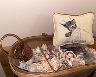 Seashell Collection
