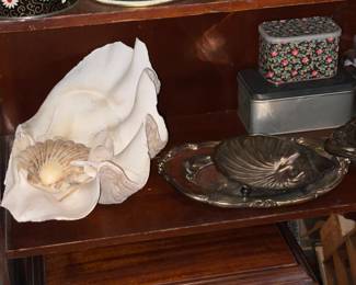Oversized Seashells