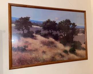 Framed Artwork