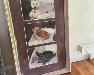 Triptych Framed Dog Portraits - West Highland White Terrier, Mixed Breed, Terrier Mix