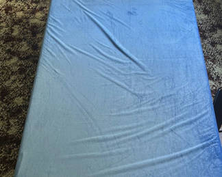 Lot 101: Mattress and Metal Bed Frame