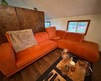 Orange love couch and coffee table