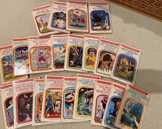 Choose your own adventure books