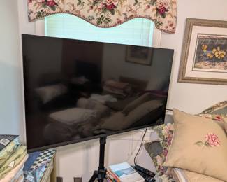 Vizio Flat Screen TV