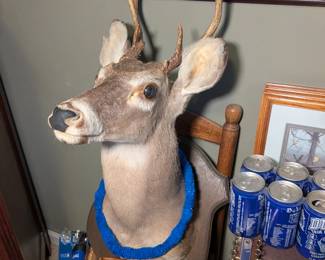 OH Deer