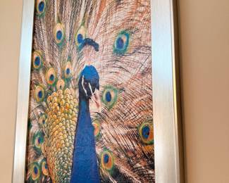 Framed Peacock Art Print
