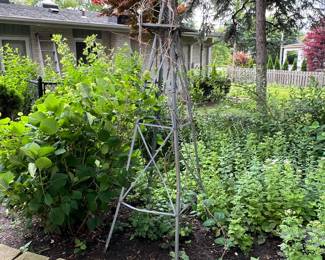 Metal garden trellis