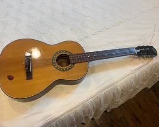 Acoustic guitar 