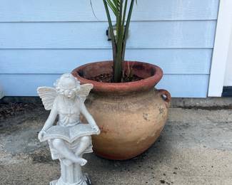 Plants