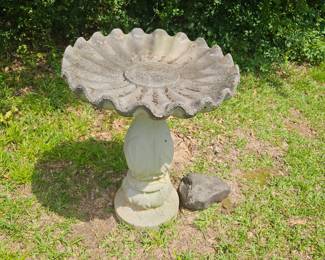 Bird Bath