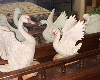 Large Swans Andrea 
