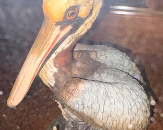 Pelican