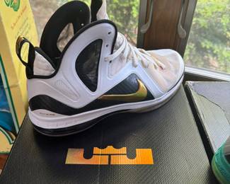 Lebron PS 9 Elite