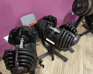 Bowflex Weights