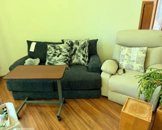 Loveseat, lift chair, bedside table, plant stands