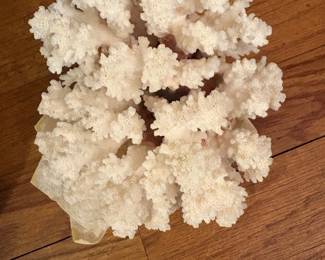 Coral cluster