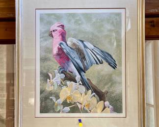 “GALAH COCKATOO” BY DALLAS JOHN
