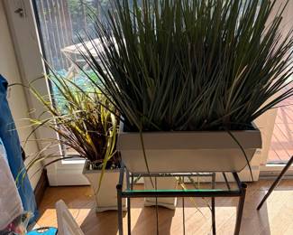 Faux plants.