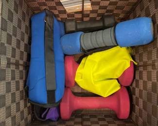 129 Misc hand weights