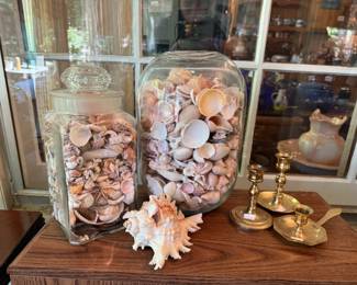 Shells, Candlestick Holders